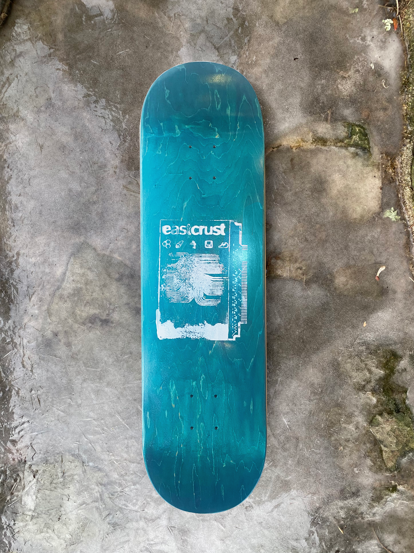 Blue EC ROM Board 8.5"